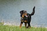 BEAUCERON 613